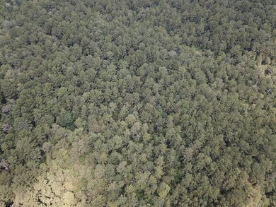 2955 County Road 441, Magnolia Springs, TX 75956 - photo 5