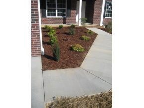 Gorgeous Landscaping