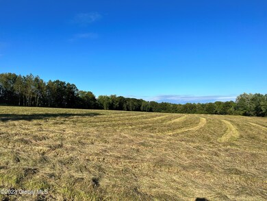 back field