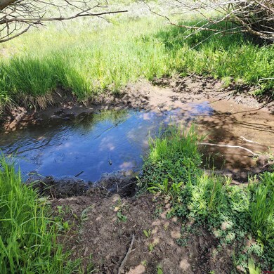 TBD Z Rd S, Whitewater, CO 81527 - photo 7