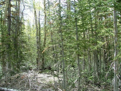 1917 S 1850 E unit Rainbows Meadows A 1, Brian Head, UT 84719 - photo 2