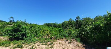 0 Laska Dr unit 20 acres 21420427, Wedowee, AL 36278 - photo 6