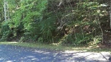 Forest view