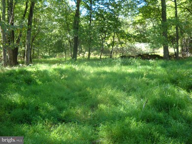 0 Bay Shore Rd unit 1000479123, Chestertown, MD 21620 - photo 7