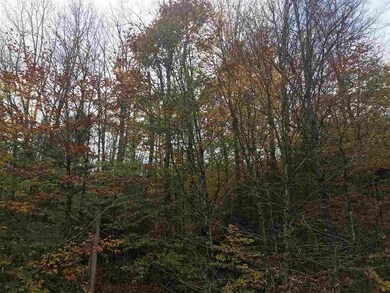 00 Mud Hollow Rd, Kirby, VT 05851 - photo 5