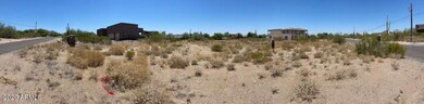 Panoramic