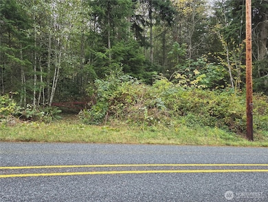 0 XXX W Dry Lake Rd, Camano, WA 98282 - photo 3