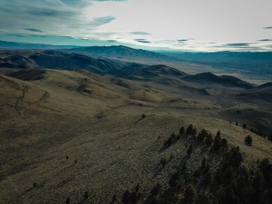 20211121-DJI_0032