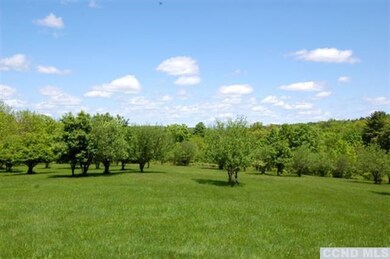 21 Sesame St, Old Chatham, NY 12136 - photo 4