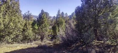 IMG_20250324_170746725_HDR