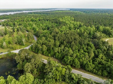 Lot 1, 2 Scenic Route, Cordele, GA 31015 - photo 6