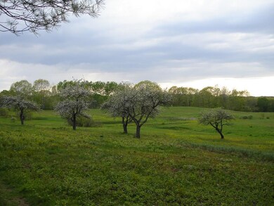Close to conservation area