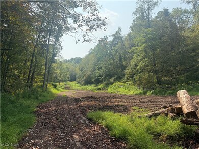 0 Buck Run Rd, Pennsboro, WV 26415 - photo 2