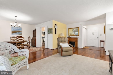 15101 Interlachen Dr unit 416, Silver Spring, MD 20906 - photo 4