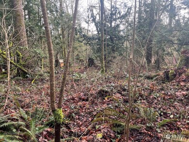 0 XX Valley View Rd, Sedro Woolley, WA 98284 - photo 7