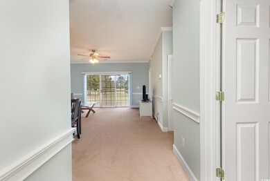 Corridor with crown molding, carpet, and a texture