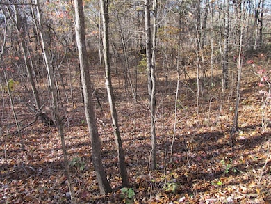 9560 Madison, Red Star, AR 72752 - photo 6