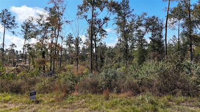 TBD 7 Reveille Rd, Livingston, TX 77351 - photo 2