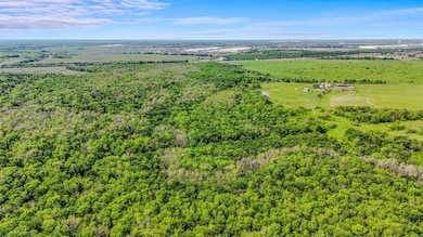 Aerial view with a wooded view
