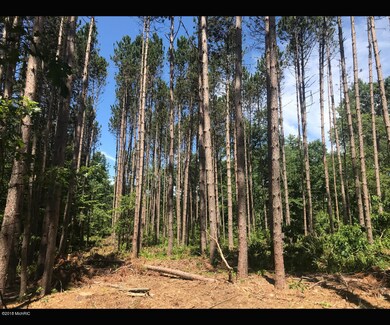 0 N Centerline Rd unit 18032500, White Cloud, MI 49349 - photo 5