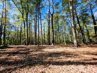 4.26 Acres with additional available