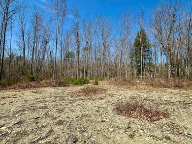 Open area of the lot.