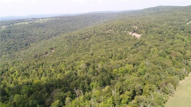 TBD Heflin Thomas Farm Rd, West Fork, AR 72774 - photo 7