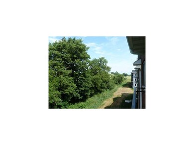 Yard.
