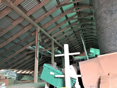 IMG_1079 (2)