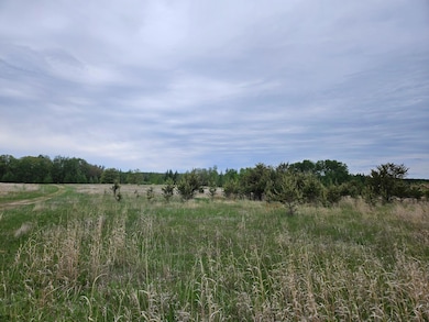 TBD Pillager Creek Trail SW, Pillager, MN 56473 - photo 4