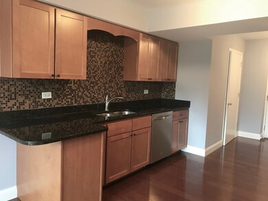 Loads of Maple Cabinetry sleek Granite countertops