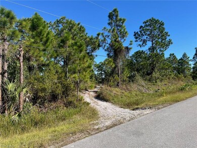 0 54th Ave NE unit 225080151, Naples, FL 34120 - photo 3