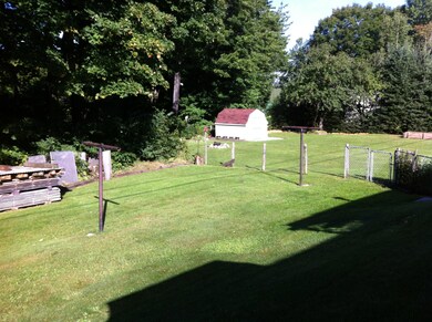 More of the back yard