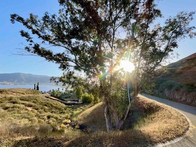 0 Sky Line unit PTP2508736, Lake Elsinore, CA 92530 - photo 7