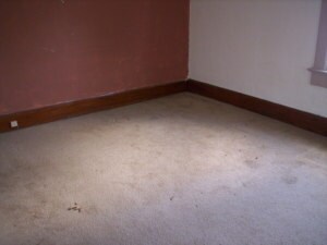 507 Main St, Nichols, IA 52766 - photo 7