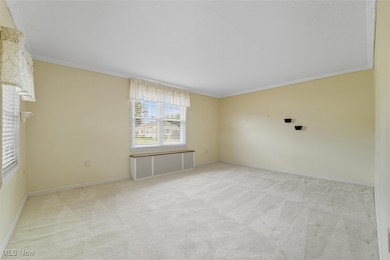 Unfurnished room featuring ornamental molding, radiator, and light colored carpet