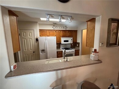 305 Karen Dr, Alamo, TX 78516 - photo 5