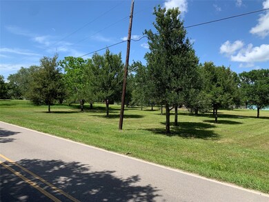0 Recreation Dr, Brazoria, TX 77422 - photo 6