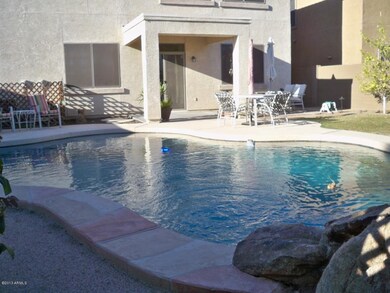 Spacious Back Yard