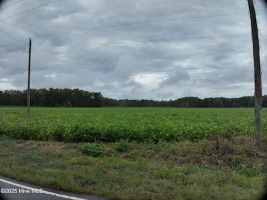 0 Red Oak Battleboro Rd unit 100534791, Battleboro, NC 27809 - photo 3