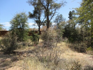 Photo_4