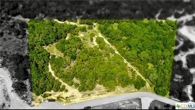 Drone / aerial view of a forest