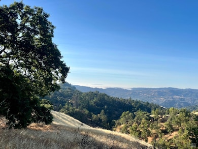 9007 Stewarts Point-Skaggs Springs Rd, Healdsburg, CA 95448 - photo 3