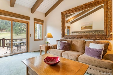 28964 Western Dr, Evergreen, CO 80439 - photo 7