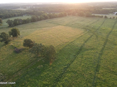 0000 Gazelle Dr, Neosho, MO 64850 - photo 7