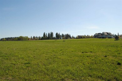 916 E Chattaroy Rd, Colbert, WA 99005 - photo 5