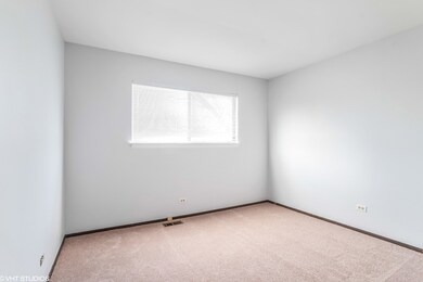 1602 Tahoe Circle Dr unit 203, Wheeling, IL 60090 - photo 5