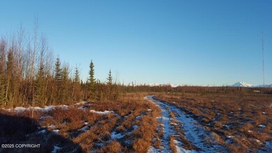 Near the SW corner looking east