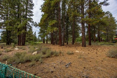 13132 Lookout Loop, Truckee, CA 96161 - photo 7