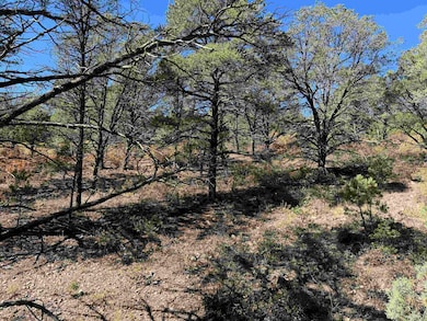 0 Wilde St, Timberon, NM 88350 - photo 6